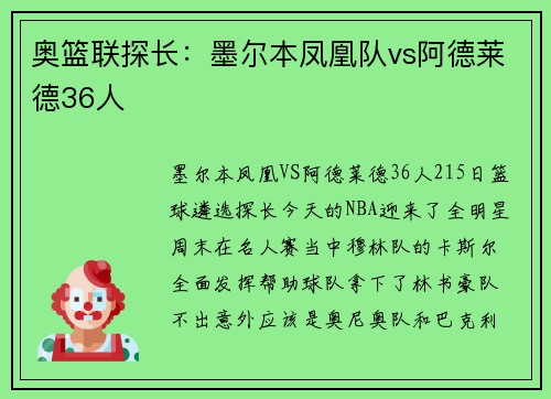 奥篮联探长：墨尔本凤凰队vs阿德莱德36人